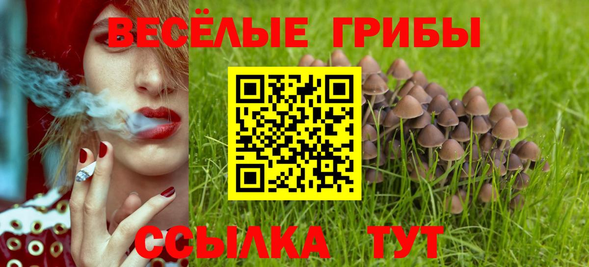 Галлюциногенные грибы ЛСД  Вход с VPN  Апрелевка 